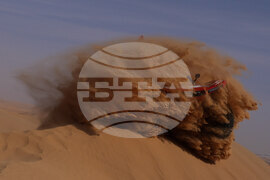 Saudi Arabia Dakar Rally
