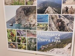 Ямбол - изложба - „Света гора - Атон, през обектива на двама географи”