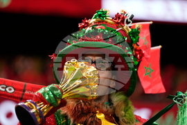 Morocco Africa Cup of Nations Soccer