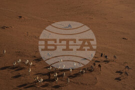 Saudi Arabia Dakar Rally