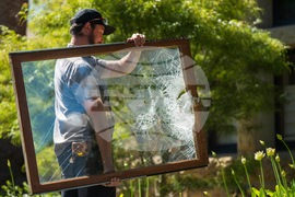 Stanford Protest Trial