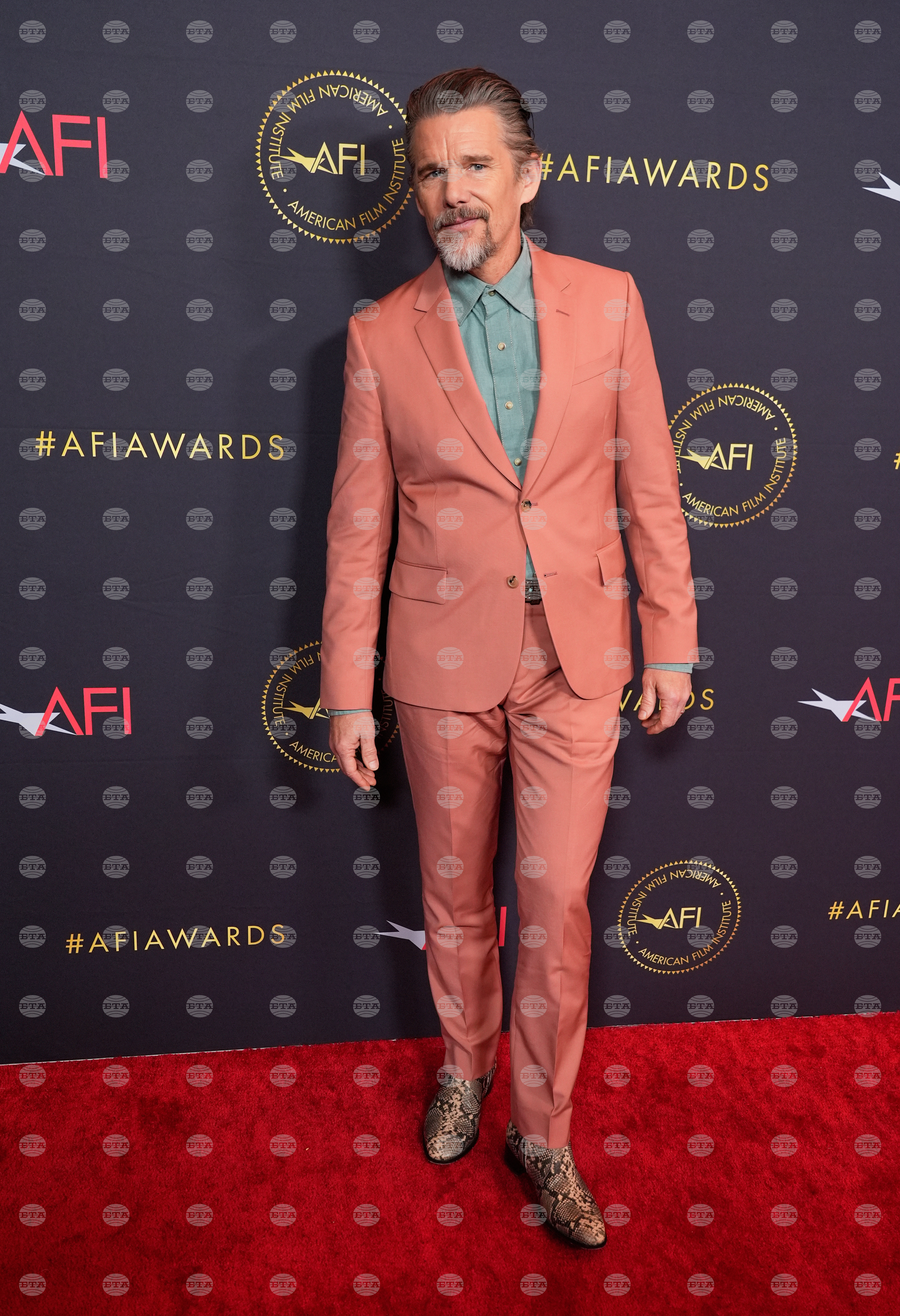 2026 AFI Awards