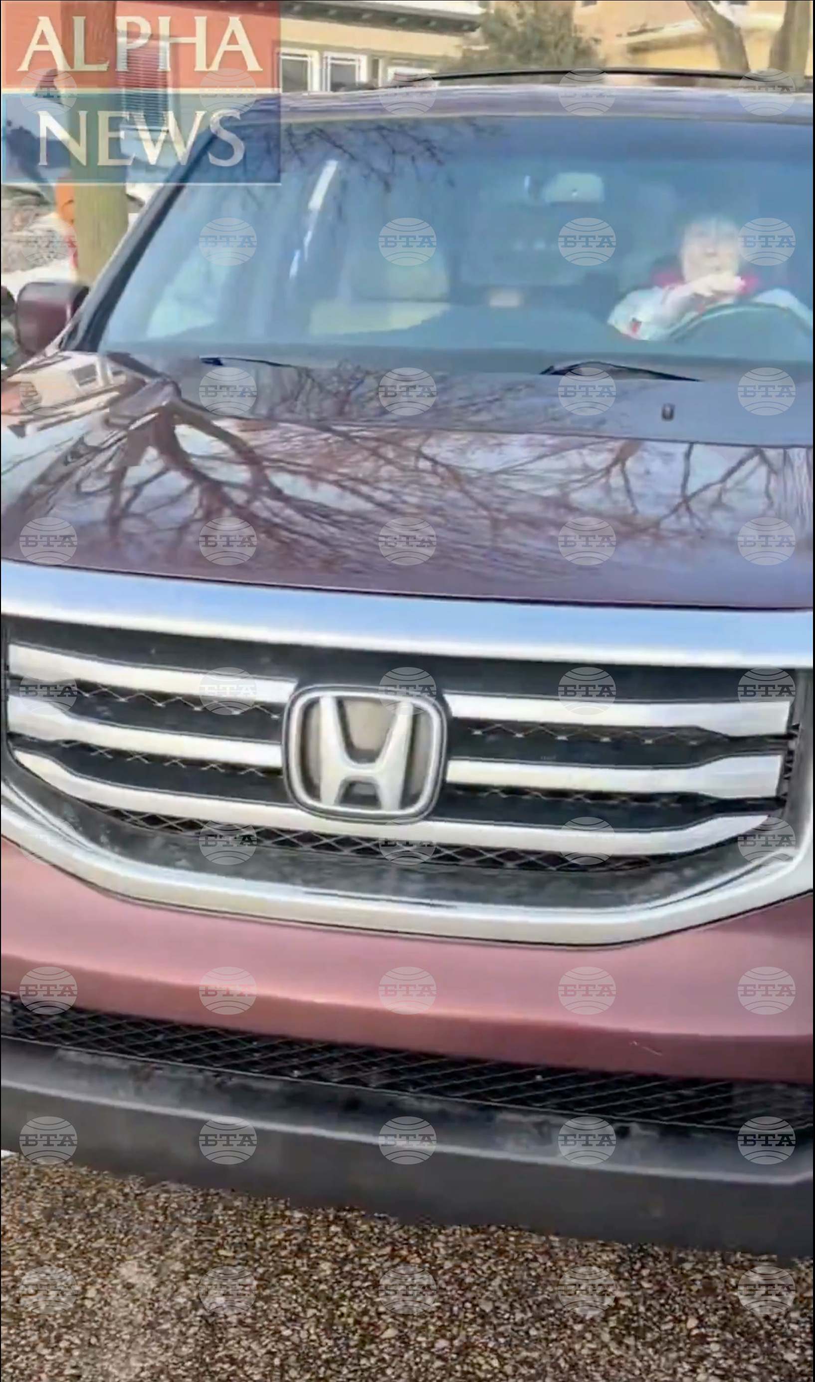 Immigration Enforcement Minnesota