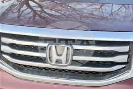 Immigration Enforcement Minnesota