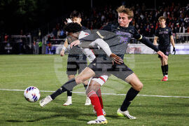 Hermann Trophy Soccer