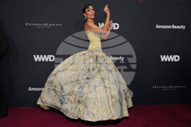 2026 WWD Style Awards