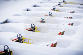 Germany Weather check date