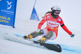 Switzerland Alpine Snowboard