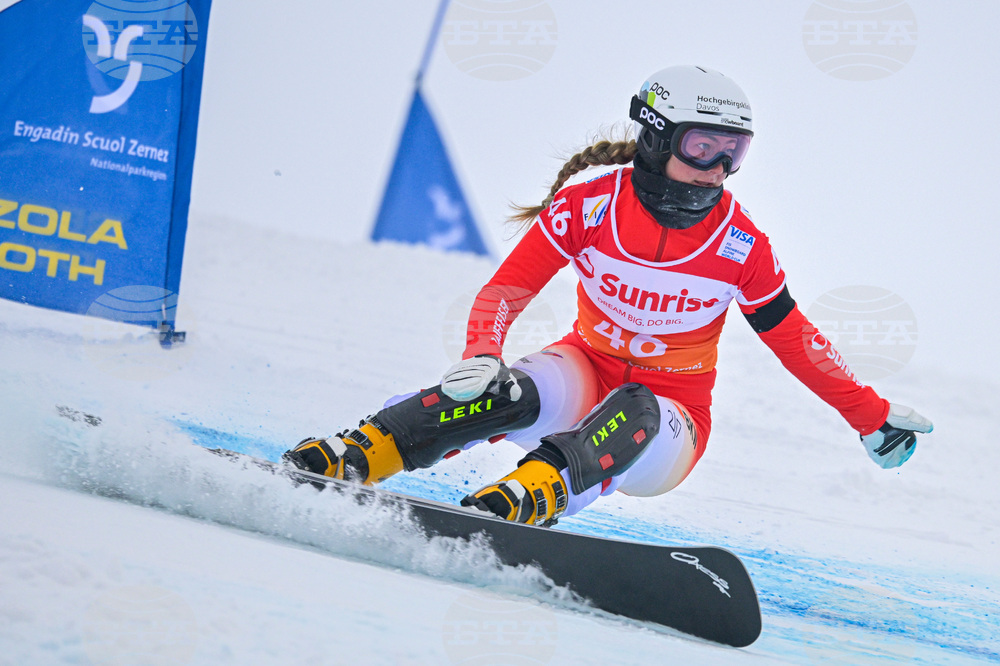 Switzerland Alpine Snowboard