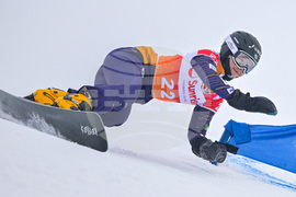 Switzerland Alpine Snowboard
