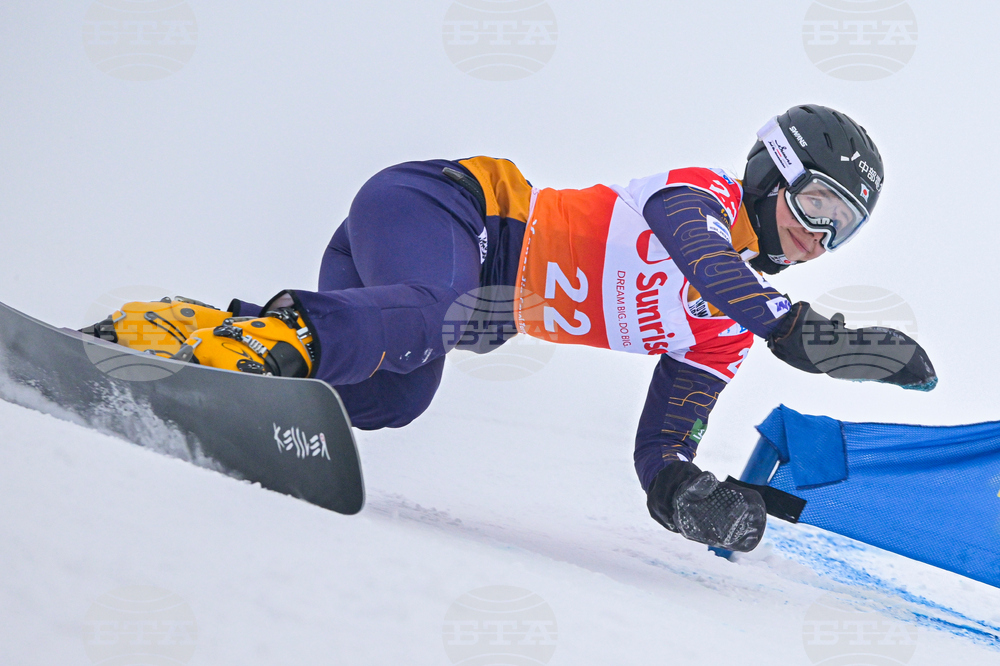 Switzerland Alpine Snowboard