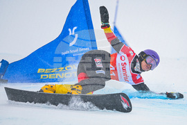 Switzerland Alpine Snowboard