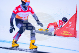 Switzerland Alpine Snowboard