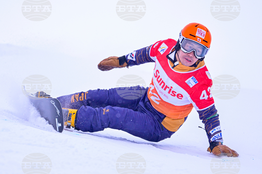 Switzerland Alpine Snowboard