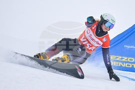 Switzerland Alpine Snowboard