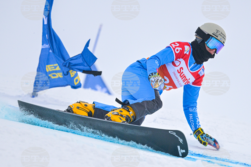 Switzerland Alpine Snowboard