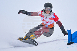 Switzerland Alpine Snowboard