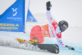 Switzerland Alpine Snowboard