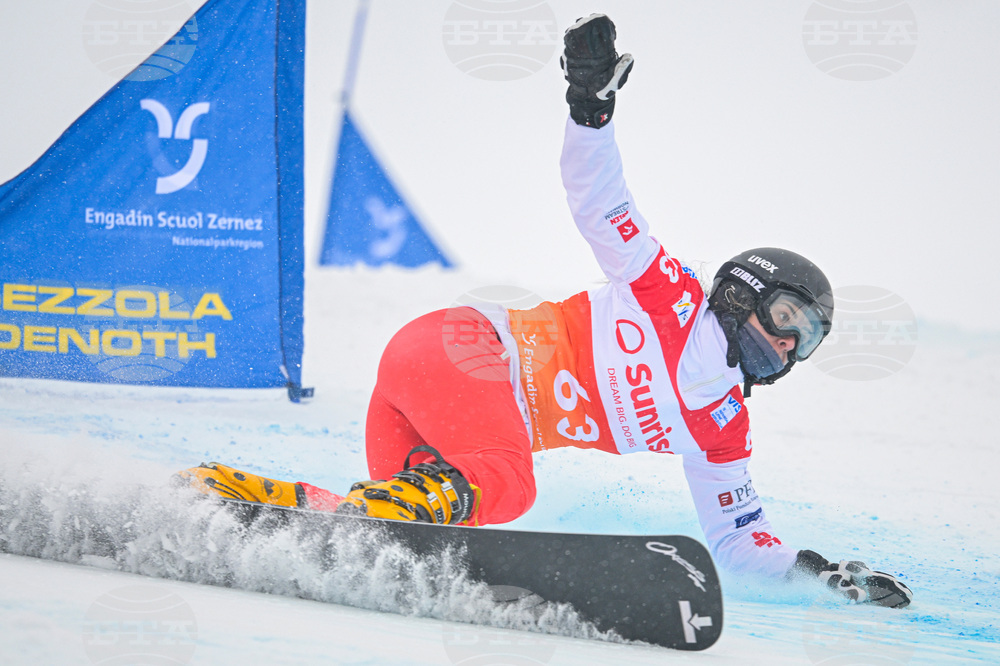 Switzerland Alpine Snowboard