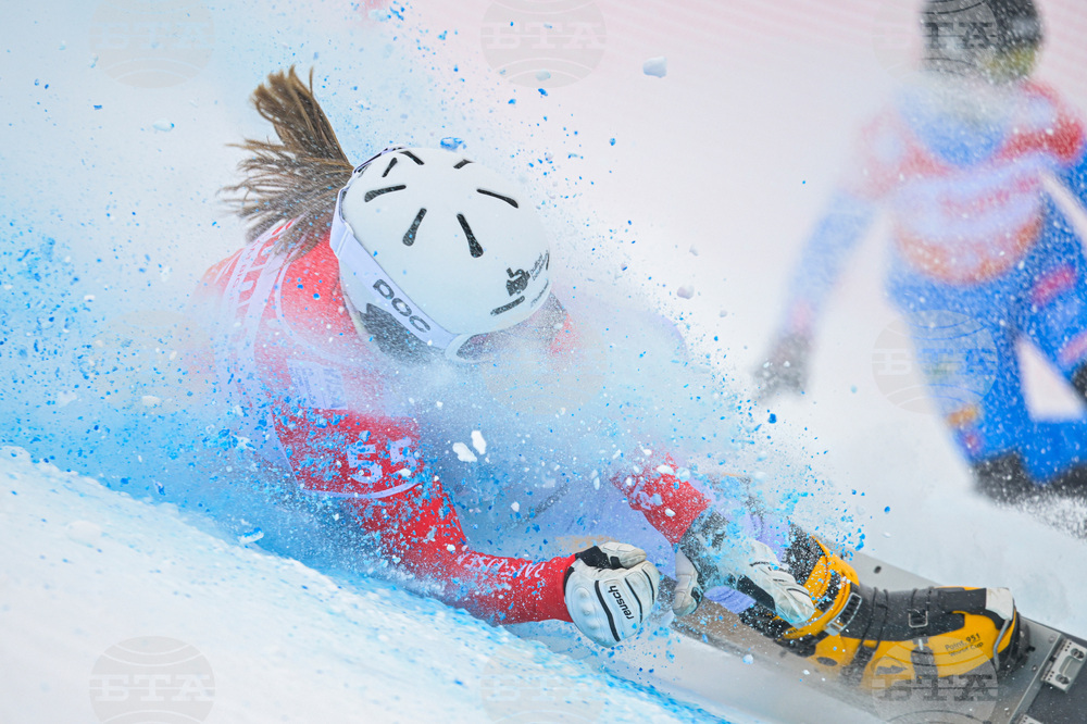 Switzerland Alpine Snowboard