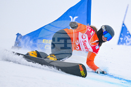 Switzerland Alpine Snowboard