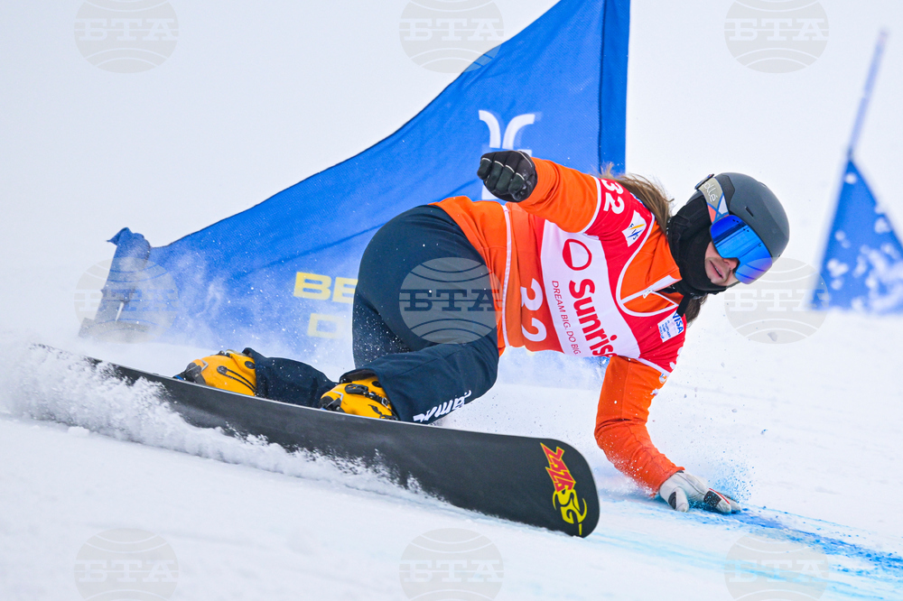Switzerland Alpine Snowboard