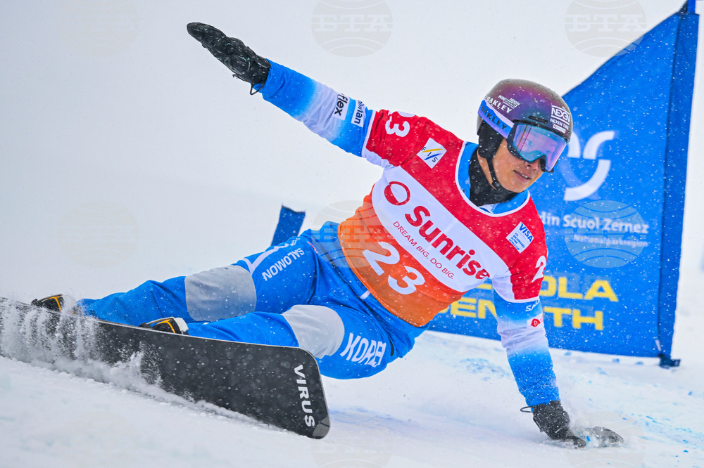 Switzerland Alpine Snowboard