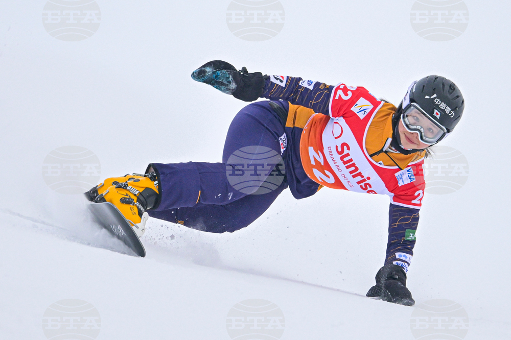 Switzerland Alpine Snowboard