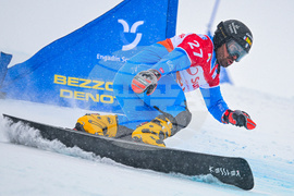 Switzerland Alpine Snowboard