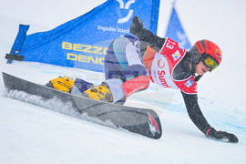 Switzerland Alpine Snowboard