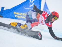 Switzerland Alpine Snowboard