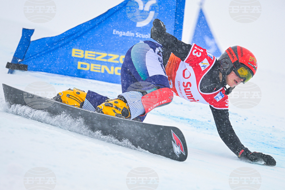 Switzerland Alpine Snowboard