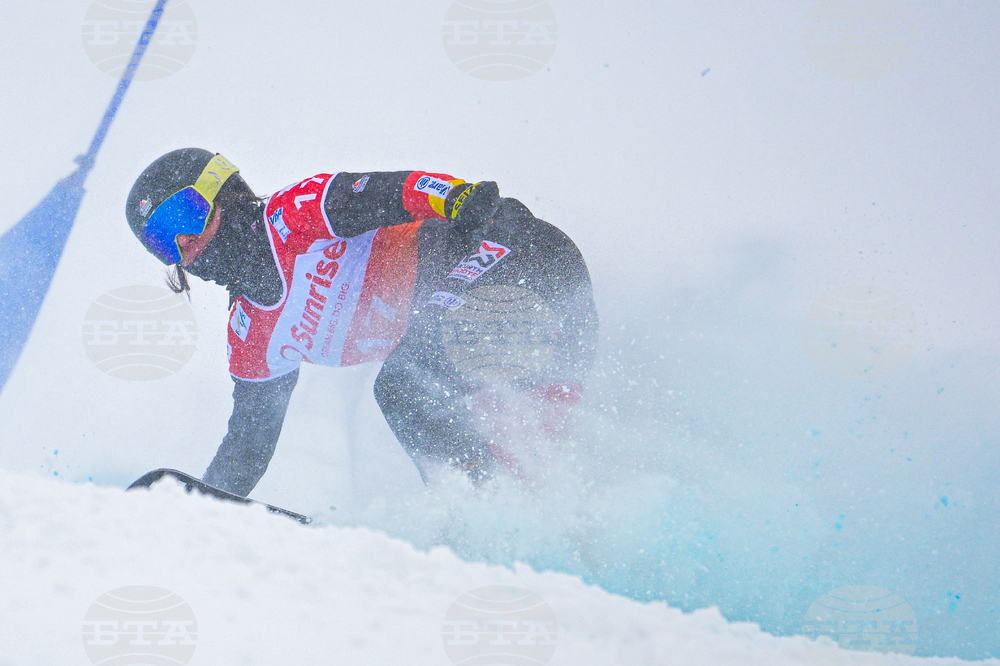 Switzerland Alpine Snowboard
