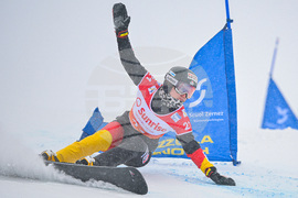 Switzerland Alpine Snowboard