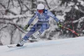 Austria World Cup Alpine Skiing
