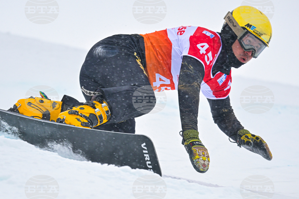 Switzerland Alpine Snowboard
