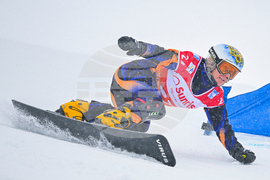 Switzerland Alpine Snowboard