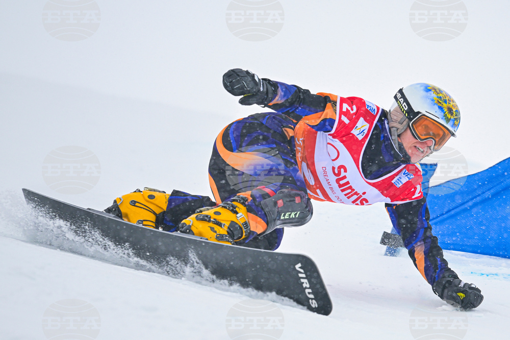 Switzerland Alpine Snowboard