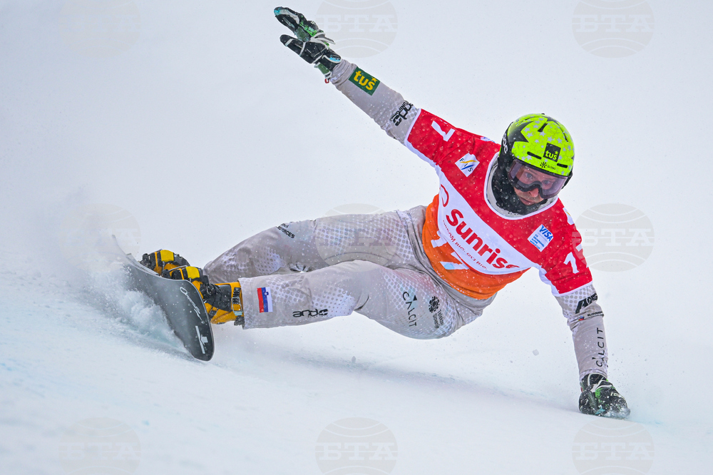 Switzerland Alpine Snowboard