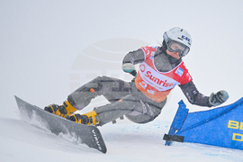 Switzerland Alpine Snowboard