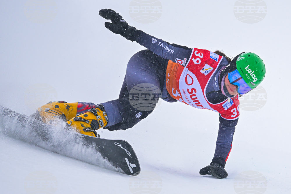 Switzerland Alpine Snowboard