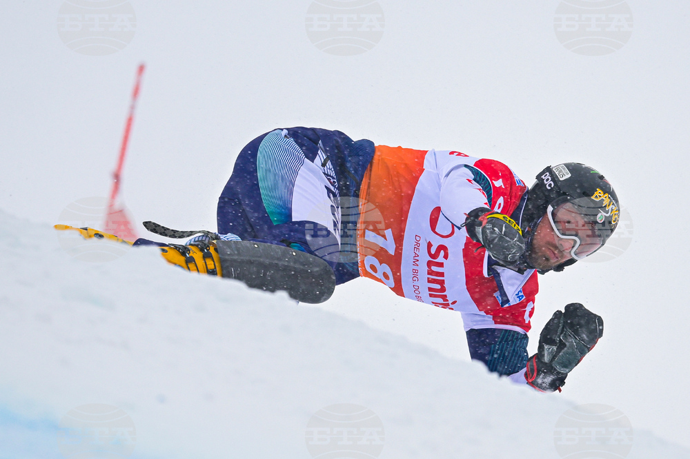 Switzerland Alpine Snowboard