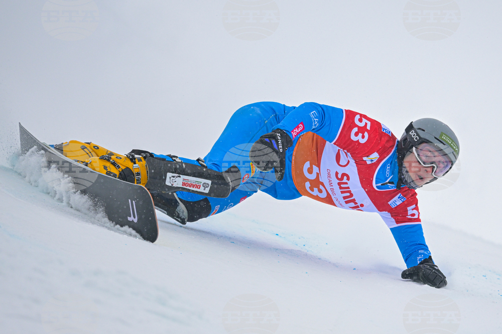 Switzerland Alpine Snowboard