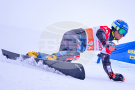 Switzerland Alpine Snowboard