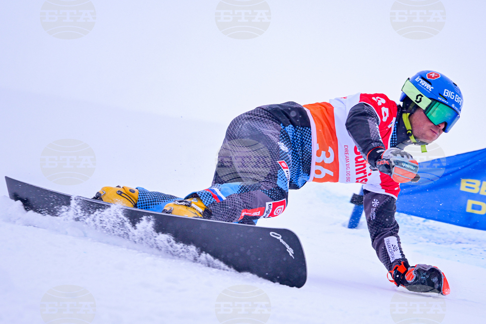 Switzerland Alpine Snowboard