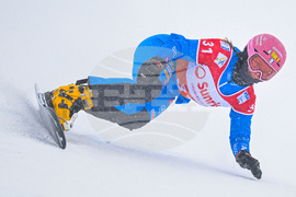 Switzerland Alpine Snowboard