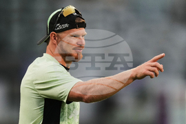 India New Zealand Cricket