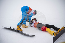 Switzerland Alpine Snowboard