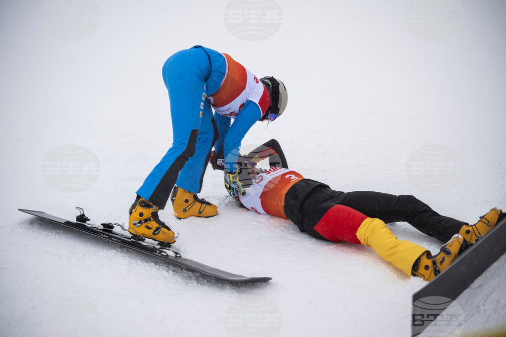 Switzerland Alpine Snowboard