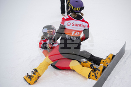 Switzerland Alpine Snowboard